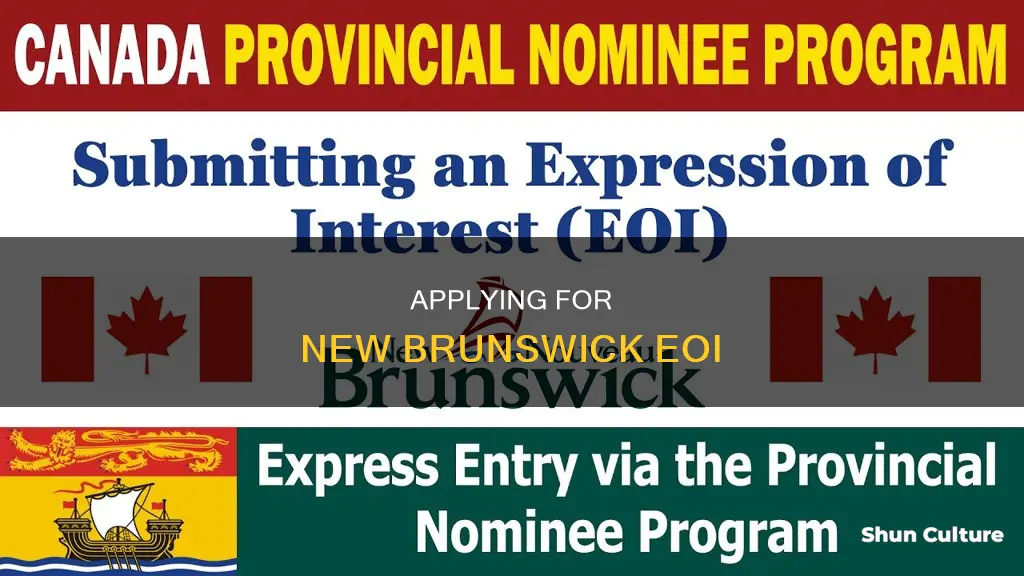 how to apply eoi for new brunswick