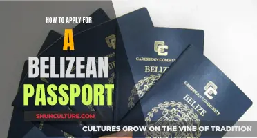 Obtaining a Belizean Passport: A Step-by-Step Guide