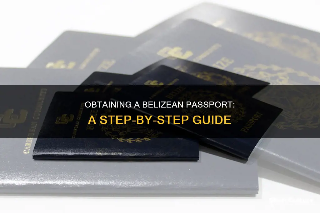 how to apply for a belizean passport