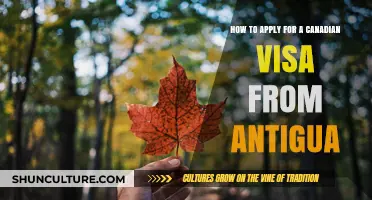 Applying for a Canadian Visa from Antigua: A Step-by-Step Guide