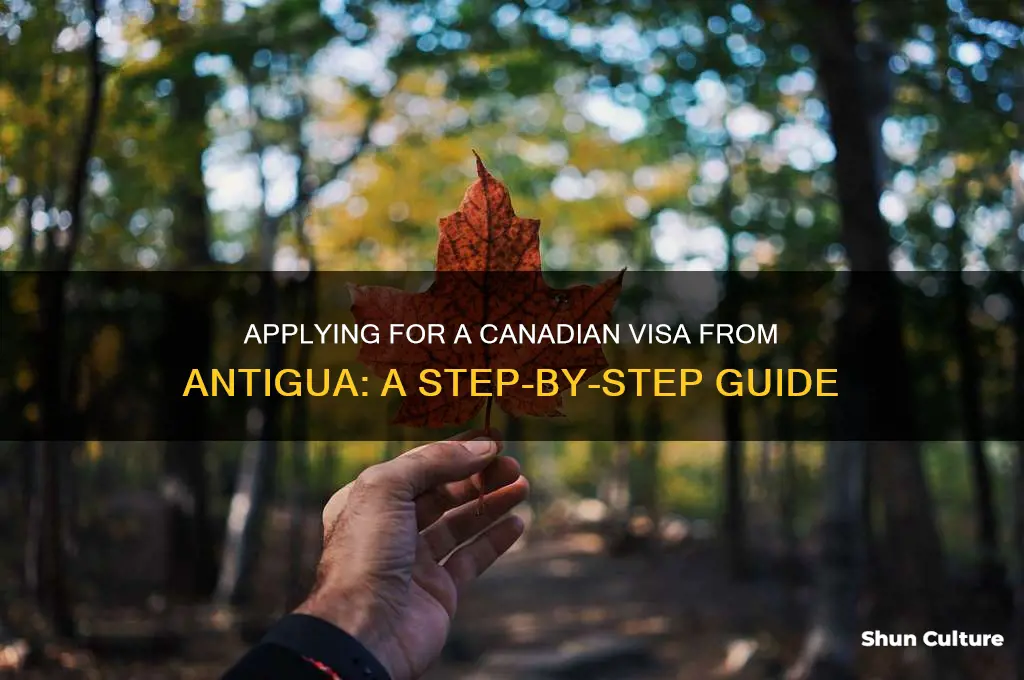 how to apply for a canadian visa from antigua