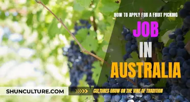Fruit Picking Jobs: Australia's Application Process Simplified