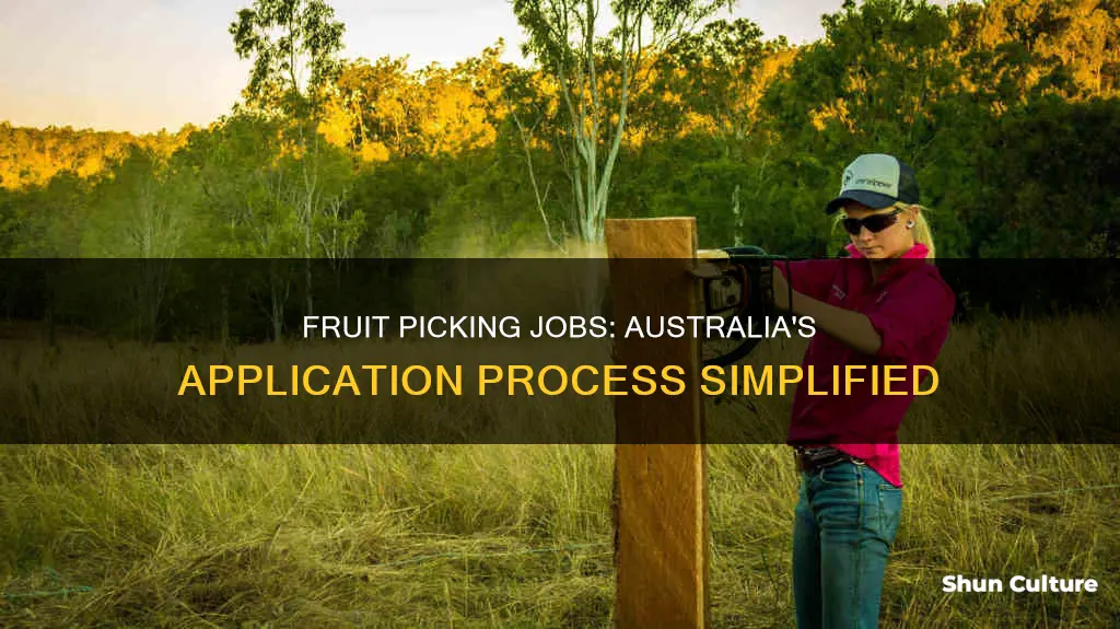 how to apply for a fruit picking job in australia