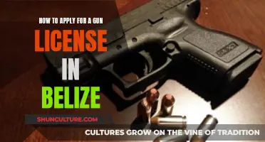 Applying for a Gun License in Belize: A Step-by-Step Guide