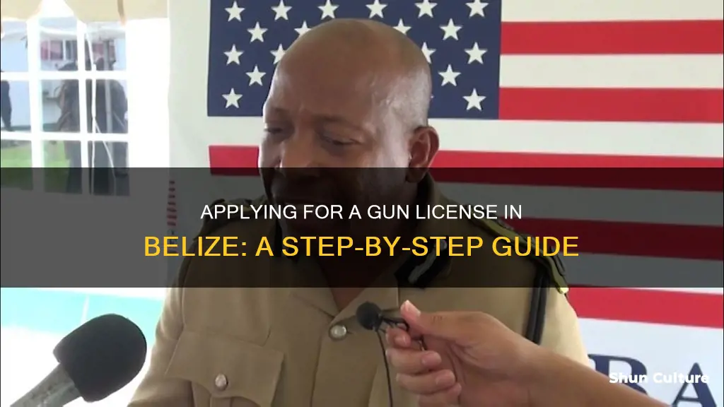 how to apply for a gun license in belize