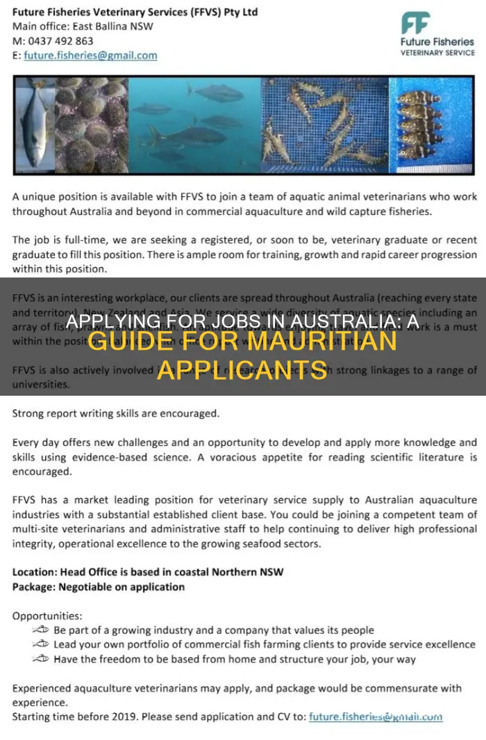 how to apply for a job in australia from mauritius