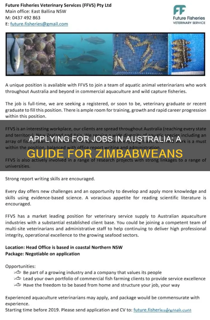 how to apply for a job in australia from zimbabwe