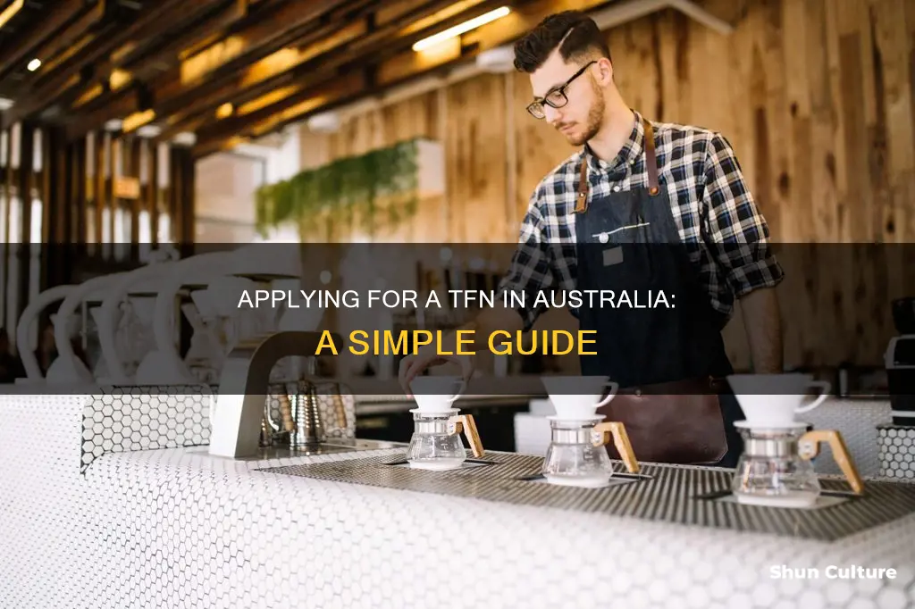 how to apply for a tfn in australia