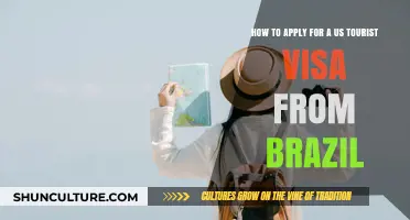 Step-by-Step Guide: Applying for a US Tourist Visa from Brazil