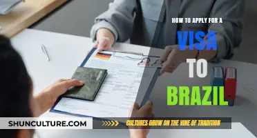 Step-by-Step Guide to Applying for a Brazilian Visa Successfully