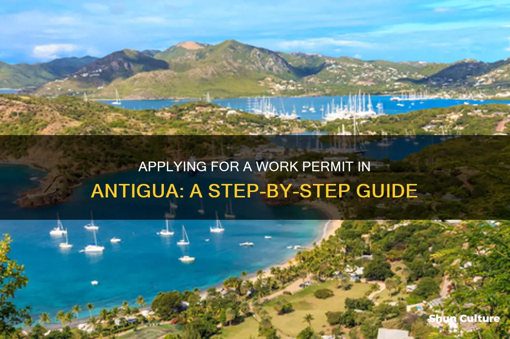 how to apply for a work permit in antigua
