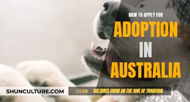 Adoption Application Process in Australia: A Step-by-Step Guide