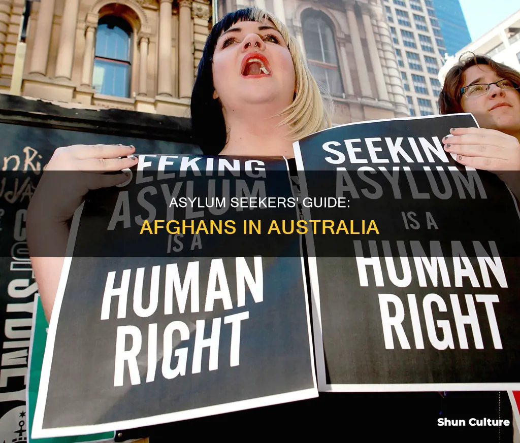 how to apply for asylum in australia from afghanistan