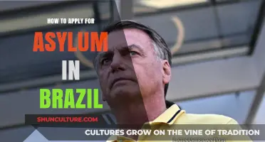 Seeking Safety: A Step-by-Step Guide to Asylum in Brazil