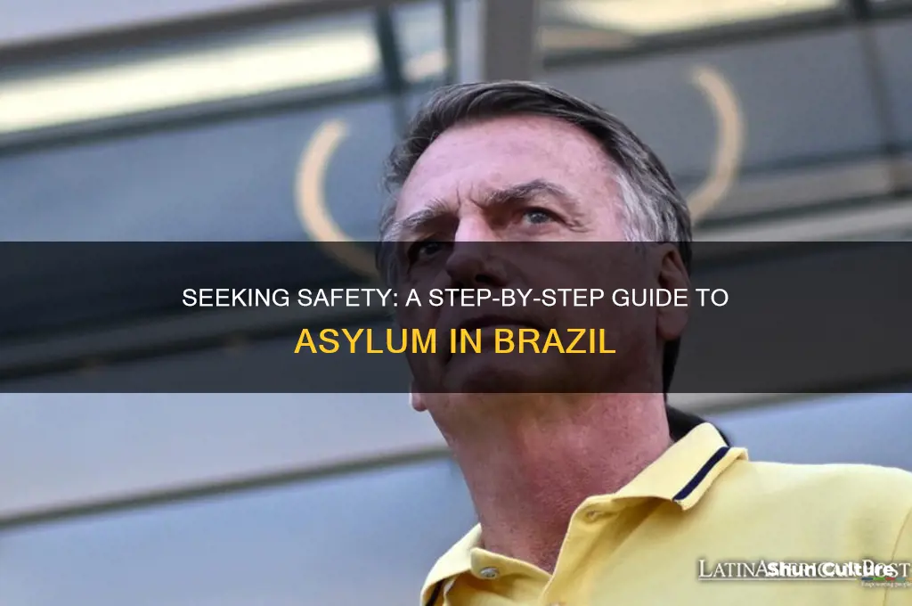 how to apply for asylum in brazil