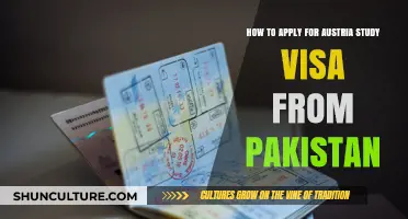 A Comprehensive Guide: Applying for an Austrian Study Visa from Pakistan