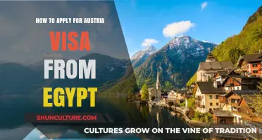 A Comprehensive Guide: Austria Visa Application Process from Egypt