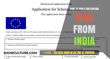 A Comprehensive Guide: Austria Visa Application Process from India