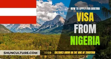 Applying for an Austrian Visa: A Guide for Nigerians