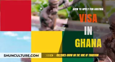 A Comprehensive Guide: Austria Visa Application Process in Ghana