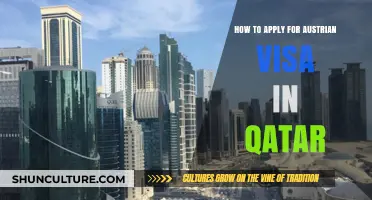 Guide to Austrian Visa Application in Qatar: A Step-by-Step Process