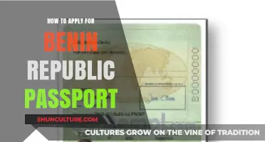 Navigating the Benin Republic Passport Application Process: A Comprehensive Guide