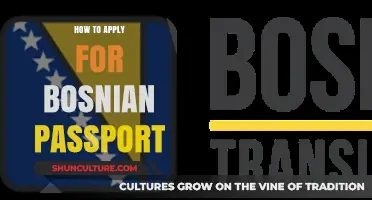 Step-by-Step Guide to Applying for a Bosnian Passport Easily