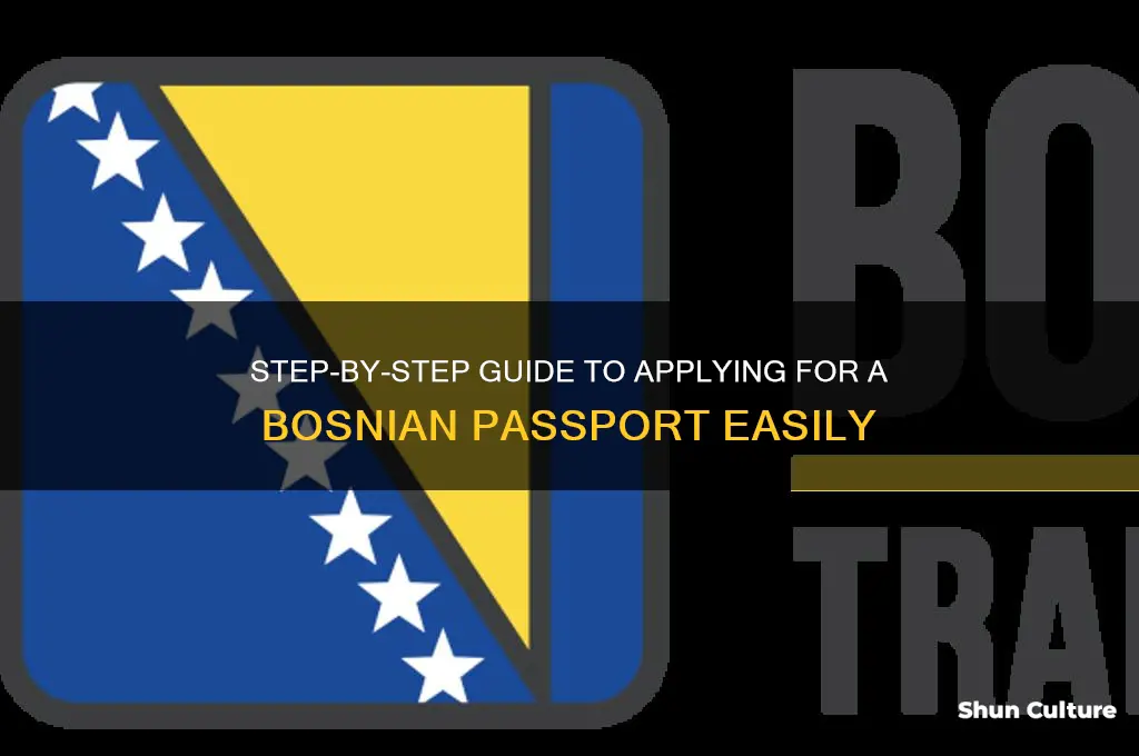 how to apply for bosnian passport