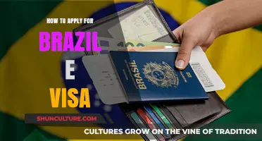 Step-by-Step Guide to Applying for Your Brazil E-Visa Online