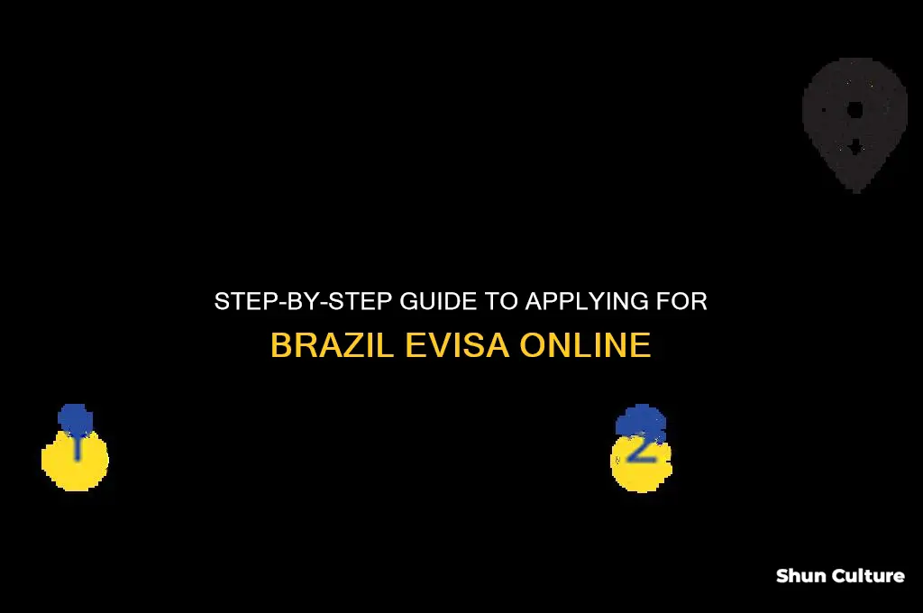 how to apply for brazil evisa
