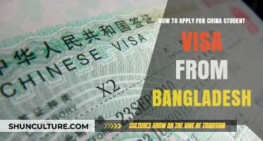 Complete Guide: Applying for China Student Visa from Bangladesh