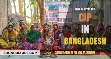CIP Application in Bangladesh: A Step-by-Step Guide for Applicants