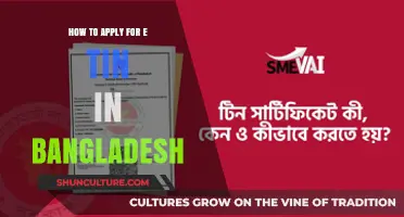 Step-by-Step Guide to Applying for e-TIN in Bangladesh