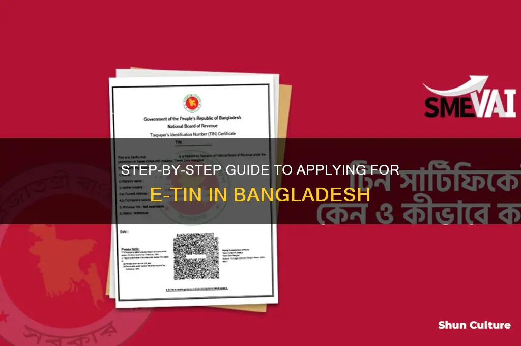 how to apply for e tin in bangladesh