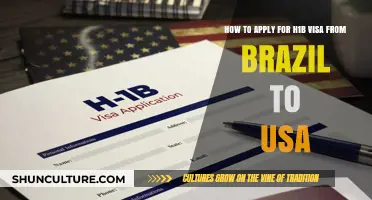 Applying for H1B Visa: A Brazilian's Guide to Working in the USA