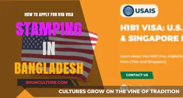 H1B Visa Stamping in Bangladesh: A Step-by-Step Application Guide