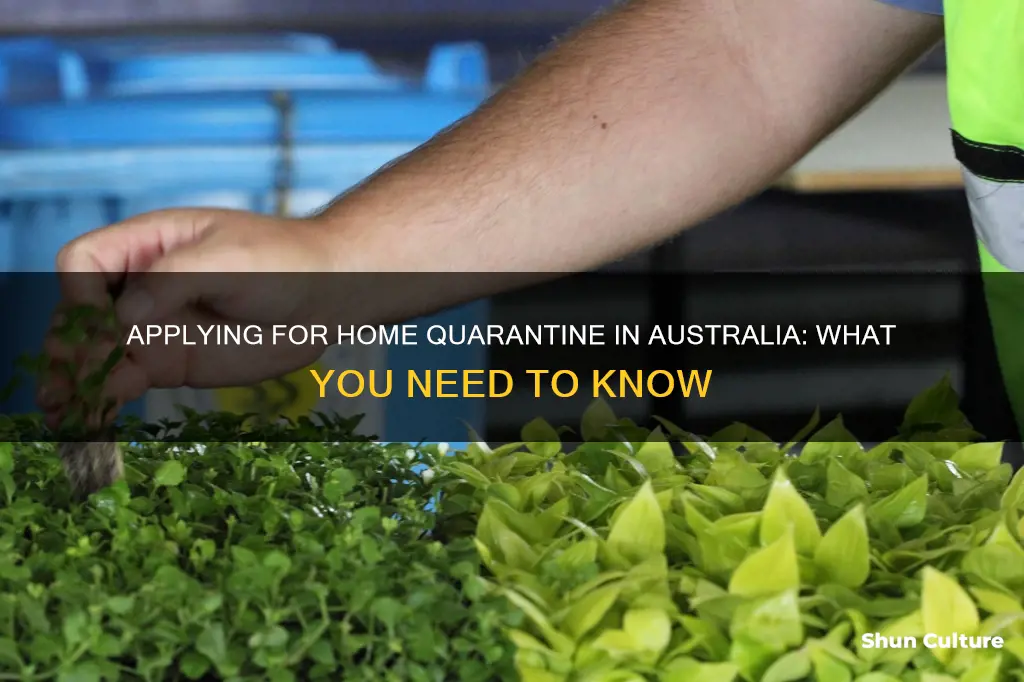 how to apply for home quarantine in australia