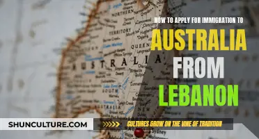 Immigration Pathways: Australia and Lebanon