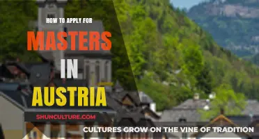 Master's in Austria: Your Guide to Application Success