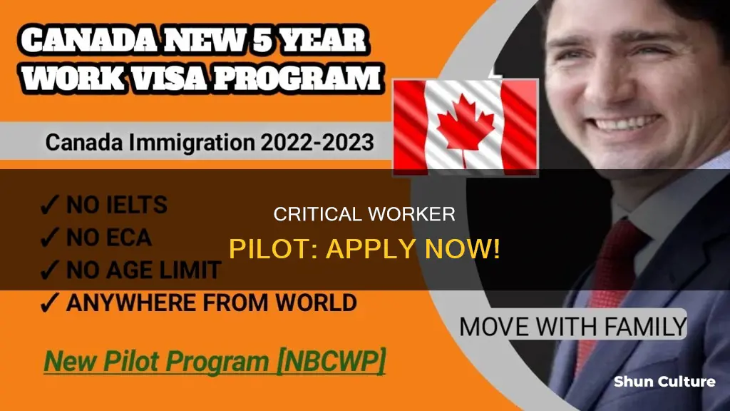 how to apply for new brunswick critical worker pilot