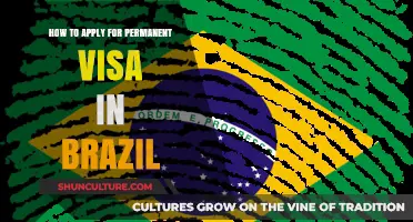 Step-by-Step Guide to Securing Your Permanent Visa in Brazil
