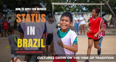 Seeking Safety: A Guide to Applying for Refugee Status in Brazil