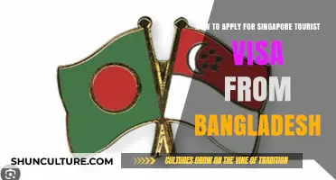 Singapore Tourist Visa Application Guide for Bangladeshi Travelers