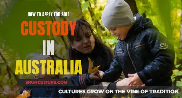 Custody Battle Strategies: Sole Custody in Australia