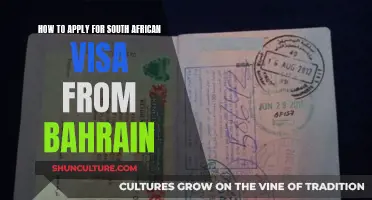 Applying for a South African Visa: Bahrain to SA