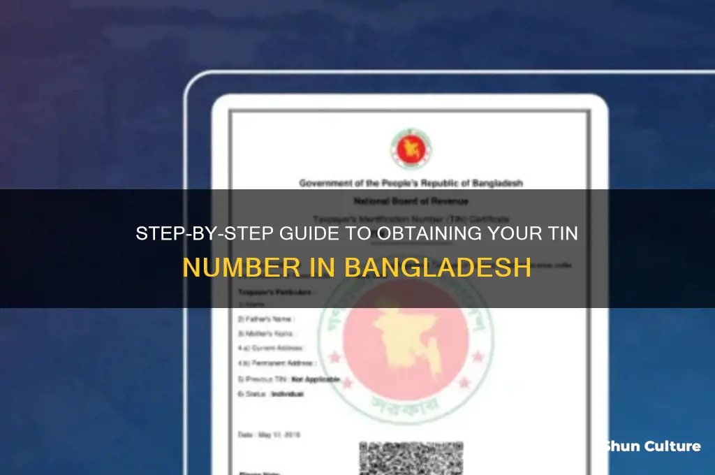 how to apply for tin number in bangladesh