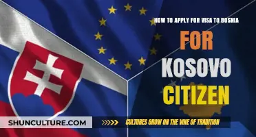 Visa Application Guide: Bosnia for Kosovo Citizens - Steps & Tips