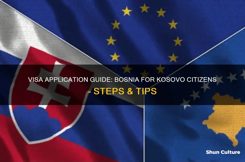 how to apply for visa to bosnia for kosovo citizen