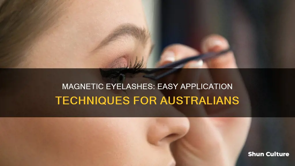 how to apply magnetic eyelashes australia