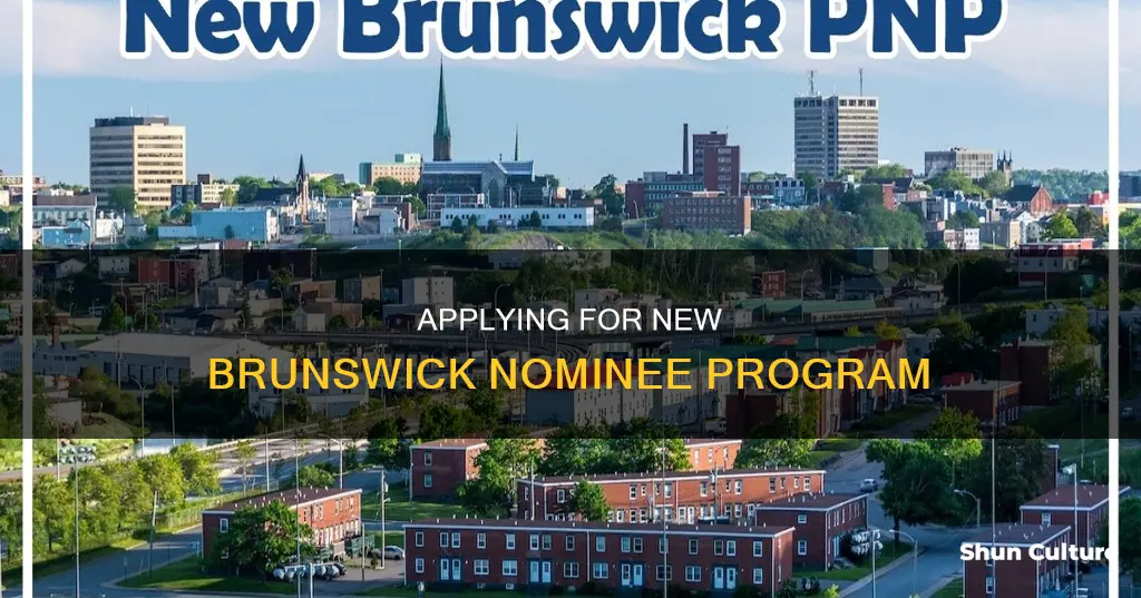 how to apply new brunswick nominee program